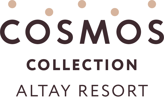 MEDCИ КУРОРТ ЗДОРОВЬЯ — медицинский центр Cosmos Collection Altay Resort