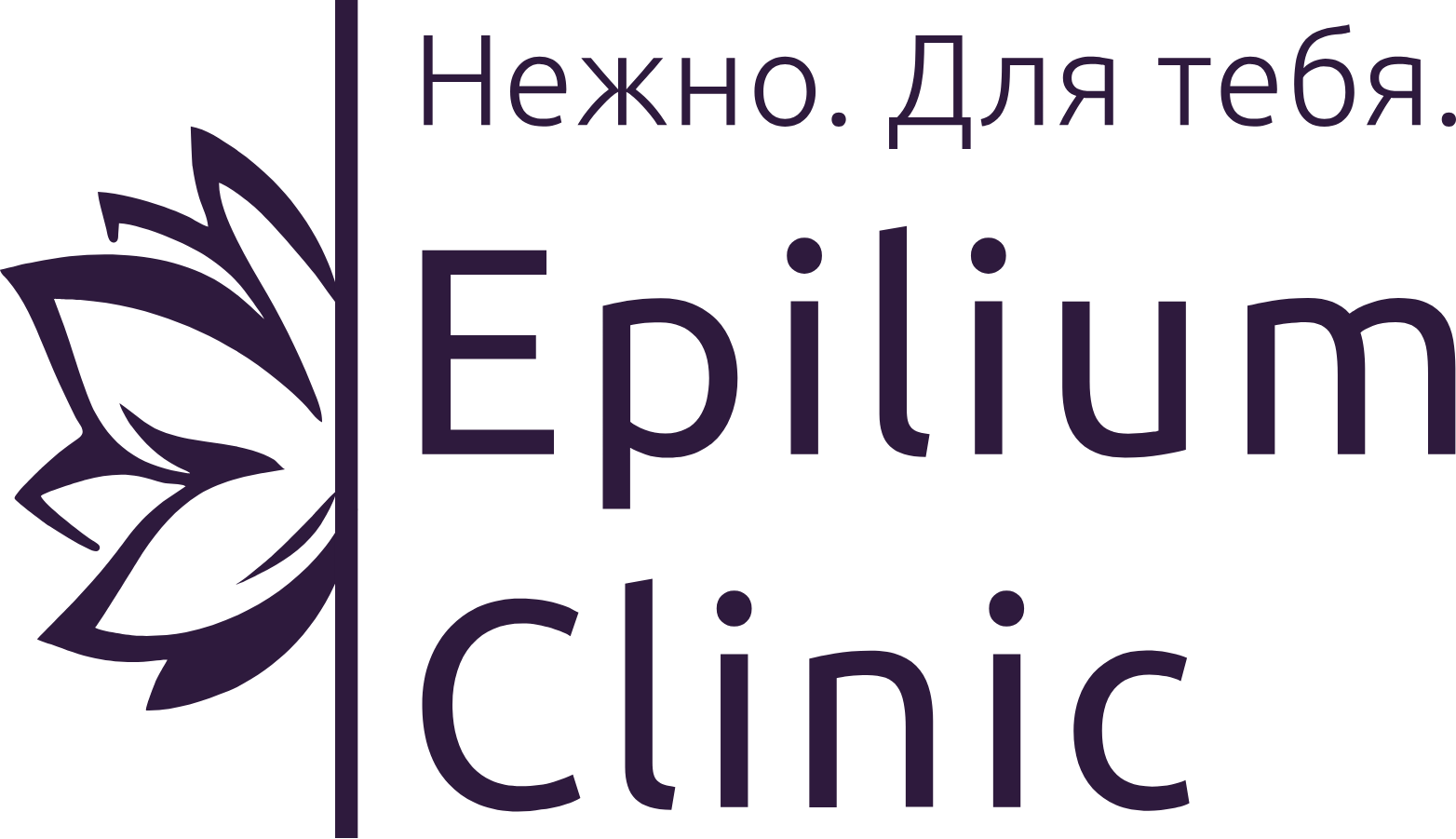 Сеть клиник лазерной эпиляции Epilium Clinic